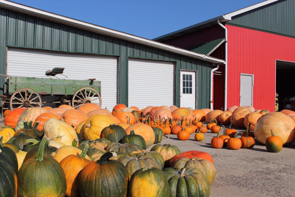 pumpkin patches north georgia